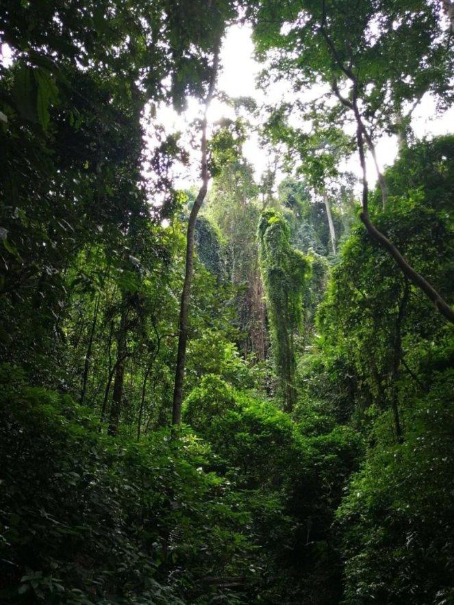 30多位足坛传奇球星山城开赛 重庆球迷直呼大饱眼福